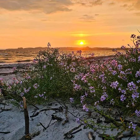 Holiday home 8243-knebel-metholmvej-18 Eg